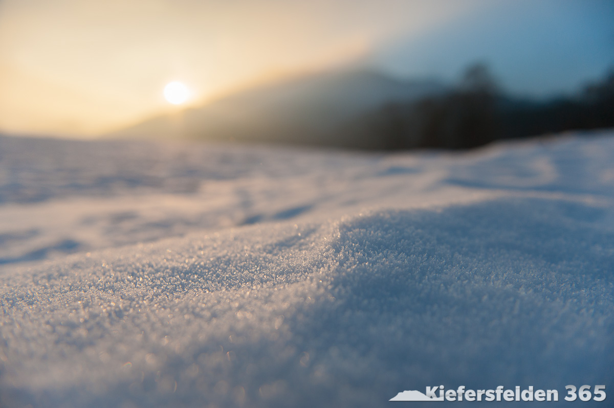 11.02.2015 - Kleine und große Schneeberge in der Abendsonne