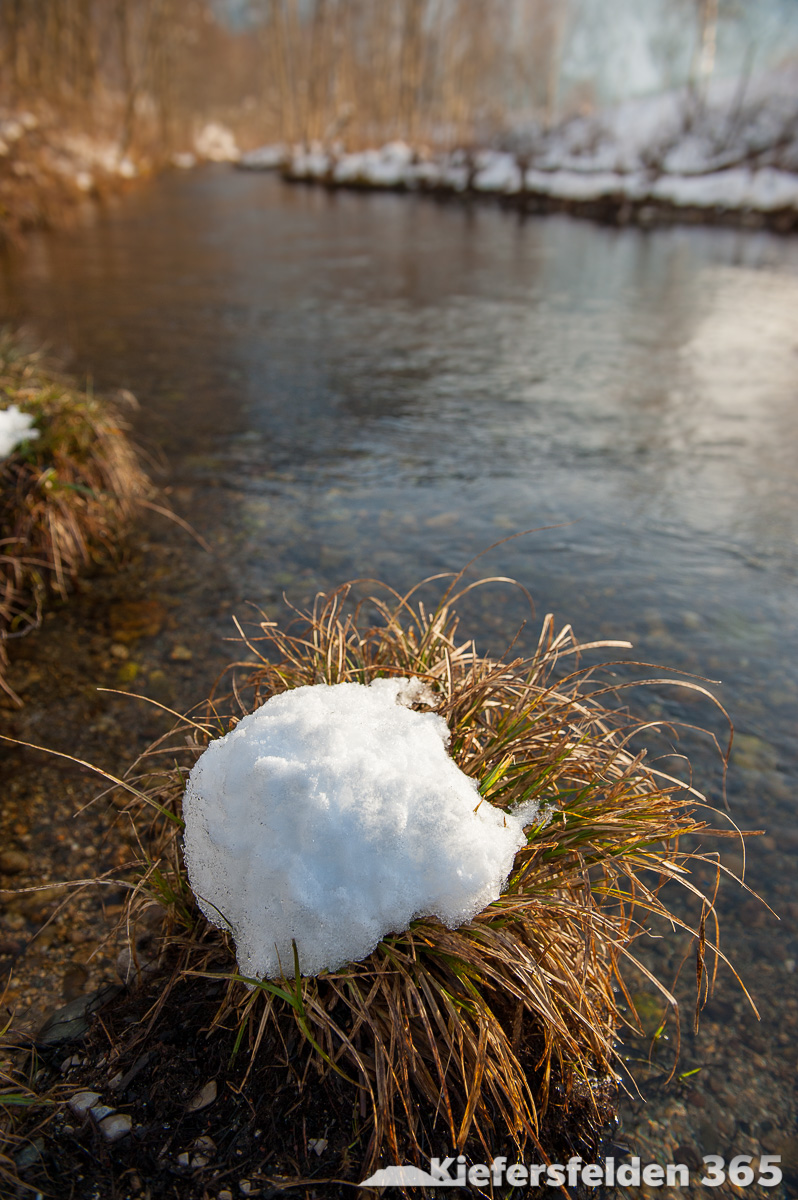 19.02.2015 - Der Bach am Kieferer See bei der Schneeschmelze